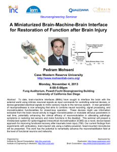 INC-IEM Neuroengineering Seminar - 13-11-04