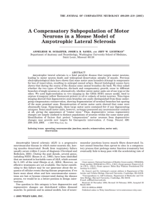 A compensatory subpopulation of motor neurons in a mouse model