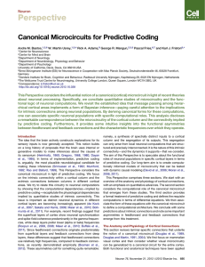 Canonical Microcircuits for Predictive Coding