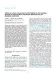 Timing of light pulses and photoperiod on the diurnal rhythm of