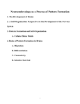 Neuroembryology as a Process of Pattern Formation