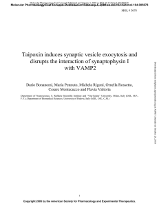Taipoxin induces synaptic vesicle exocytosis and disrupts the
