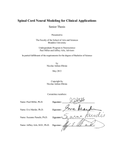 Spinal Cord Neural Modeling for Clinical Applications