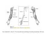 From: Shadmehr R., Wise S.P. “The computational neurobiology of