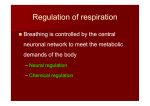 Regulation of respiration
