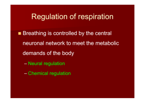 Regulation of respiration