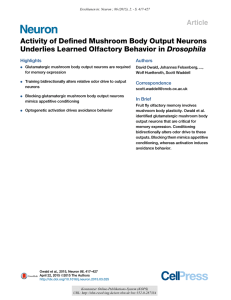 Activity of Defined Mushroom Body Output Neurons