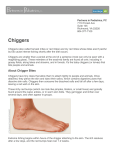 Chiggers - Partners in Pediatrics