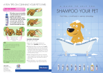 shampoo your pet