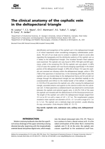 The clinical anatomy of the cephalic vein in the