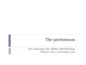 Peritoneal cavity