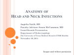 Anatomy of Head and Neck Infections