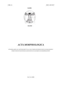 acta morphologica - WEBDOCTOR.com.mk