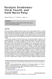 Paralytic Strabismus: Third, Fourth, and Sixth Nerve Palsy