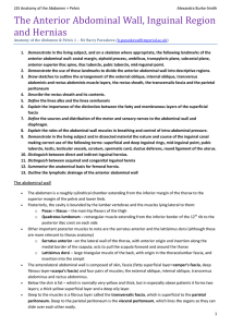 The Anterior Abdominal Wall, Inguinal Region and Hernias
