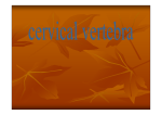 cervical vertebra