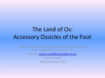 The Land of Os: Accessory Ossicles of the Foot