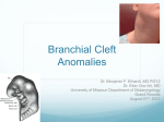 Branchial Cleft Anomalies