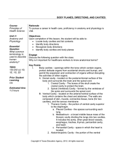 BODY PLANES, DIRECTIONS, AND CAVITIES Course Principles of