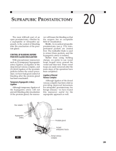 SUPRAPUBIC PROSTATECTOMY