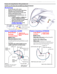 Fascia and compartments of the proximal arm