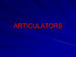 ARTICULATORS