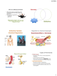 What is REGULATION? Types of Hormones