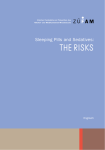 The Risks - Migesplus