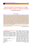 Neural Correlate of Consciousness in a Single Electron: Radical