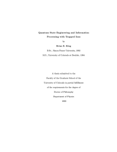 Quantum State Engineering and Information Processing with
