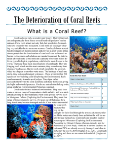 The Deterioration of Coral Reefs