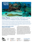 NRDC: Cabo Pulmo - Protecting Baja California`s Thriving Coral