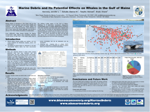 Marine Debris and Its Potential Effects on Whales in the Gulf of Maine