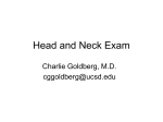 Head and Neck Exam