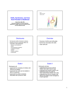 Clefts, Syndromes, and Care from Prenatal (6 slide per page)