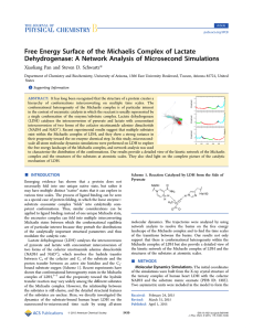 Free Energy Surface of the Michaelis Complex of Lactate