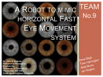 A Robot to mimic horizontal Fast Eye Movement system