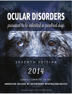 Ocular Disorders Presumed to be Inherited in PureBred Dogs