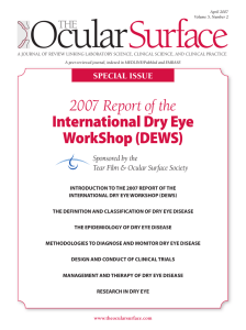 2007 Report of the International Dry Eye WorkShop (DEWS)