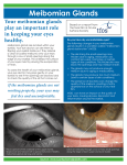 Meibomian Glands - Contact Lens Update