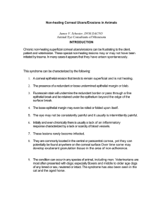 CHRONIC SUPERFICIAL CORNEAL EROSIONS