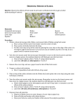 OBSERVING OSMOSIS IN ELODEA