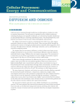Lab 4 - Diffusion and Osmosis