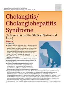 Cholangitis/ Cholangiohepatitis Syndrome