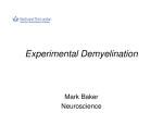 Experimental Demyelination