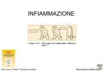 INFIAMMAZIONE