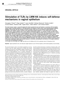 Stimulation of TLRs by LMW-HA induces self-defense