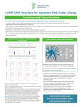 to LAMP-DNA Vaccines for Japanese Red Cedar Allergy