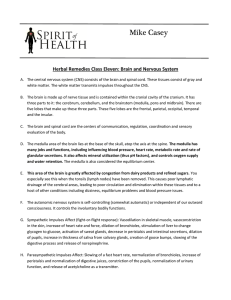 Class Notes - Spirit of Health