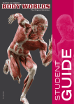 STUDENT - BODY WORLDS Vital